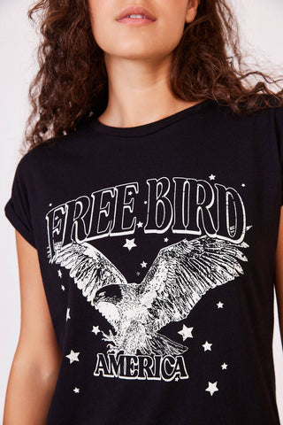 Free bird eagle.