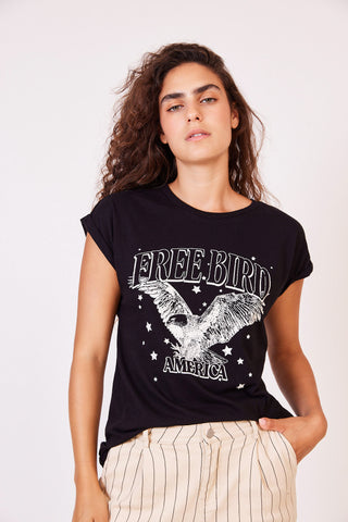 Free bird eagle.